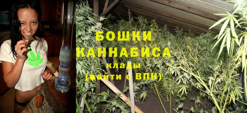 купить закладку  Власиха  Конопля THC 21% 